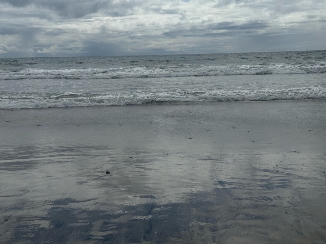 walking near me in Buccaneer Beach Park in spring