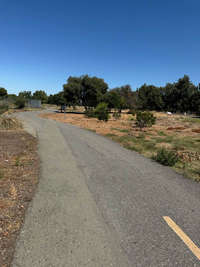 walking near me in Guadalupe River Park in summer