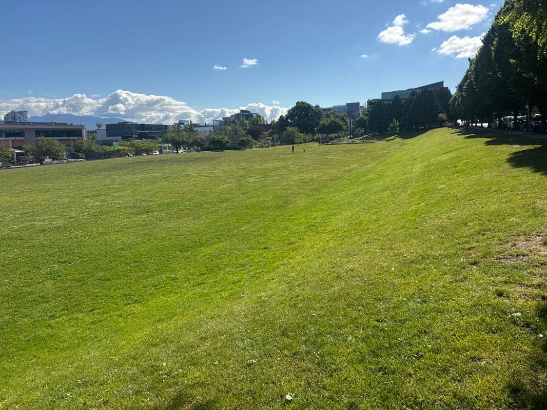 walking near me in Jonathan Rogers Park in summer