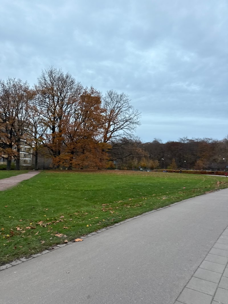 walking near me in Västra Stadionparken in autumn