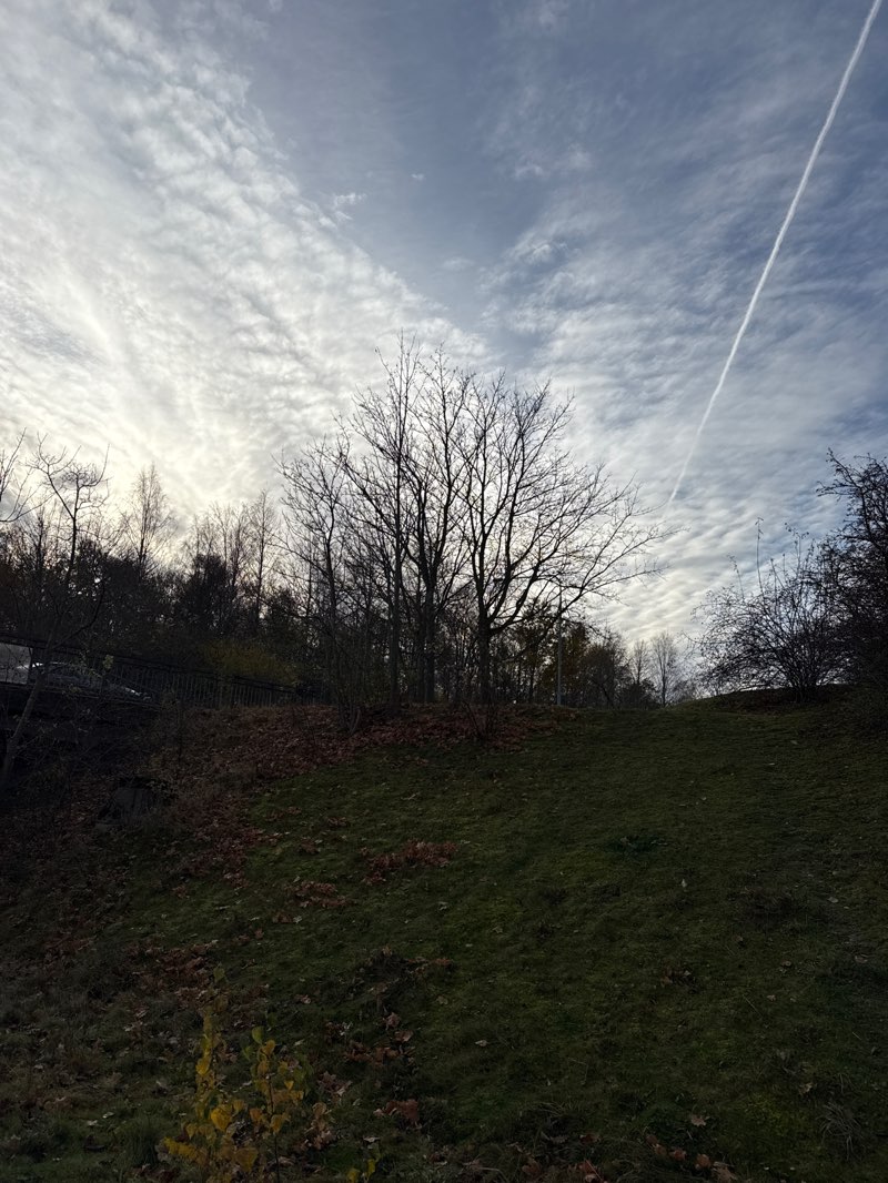 walking near me in Lorensborgs gräsmatta in autumn
