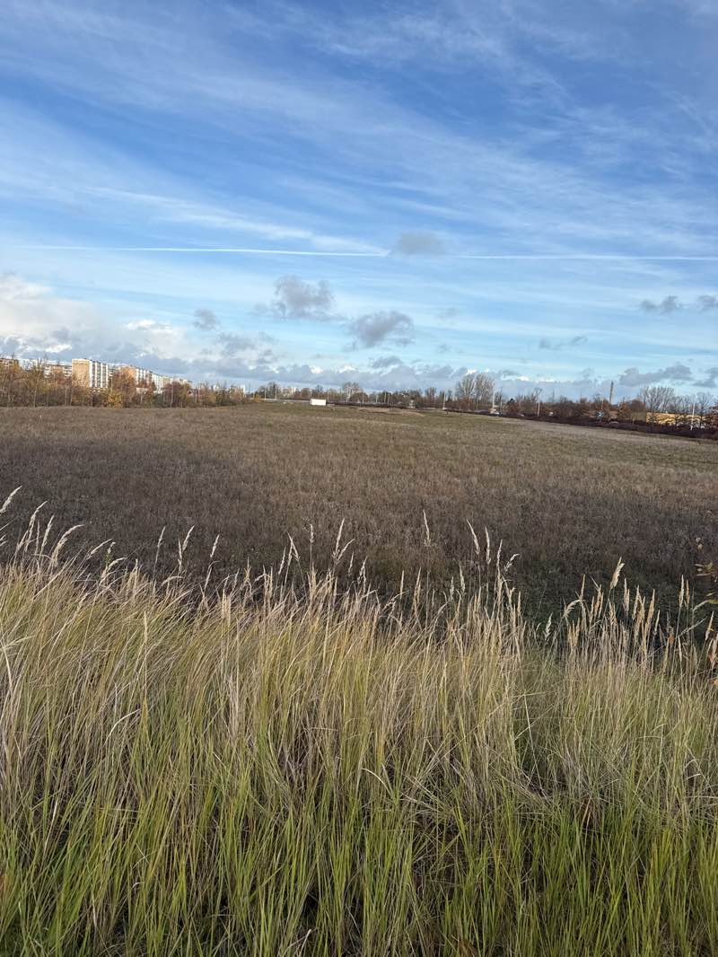 walking near me in Dagvattenparken in autumn