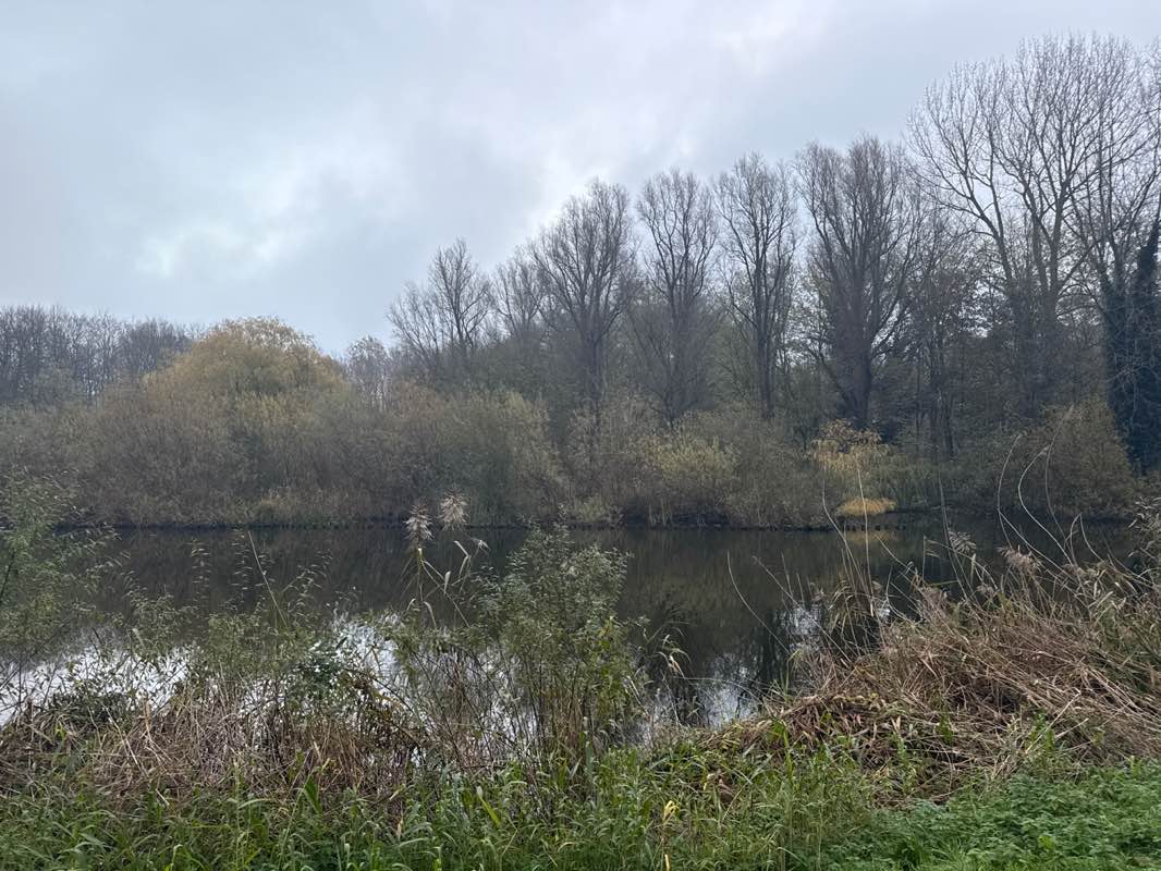 walking near me in Sloterpark in autumn