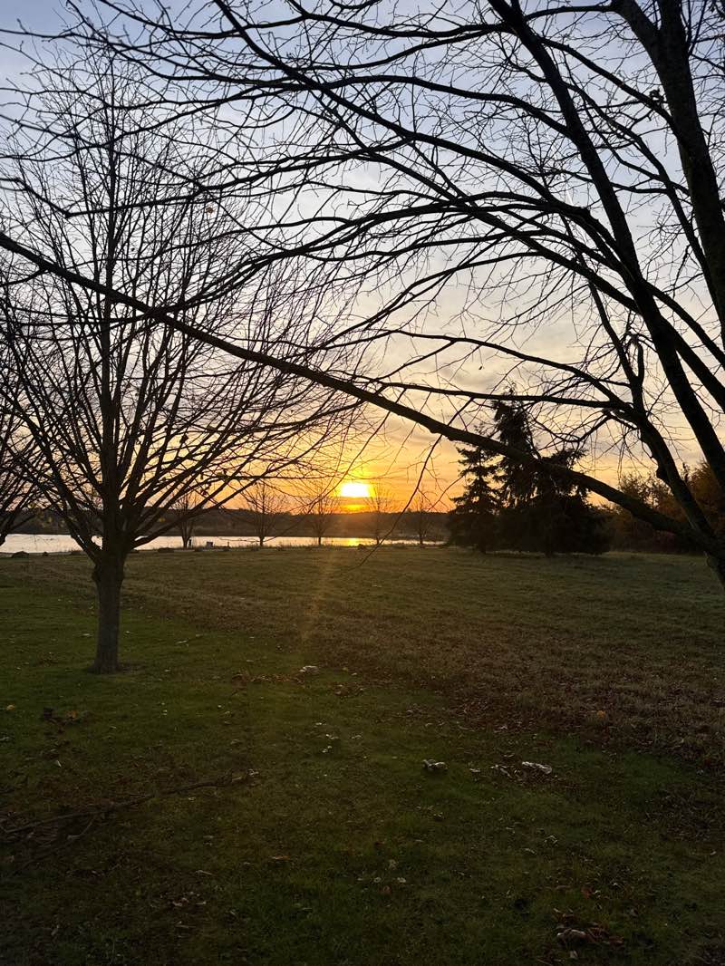 walking near me in Millennieskogen in autumn