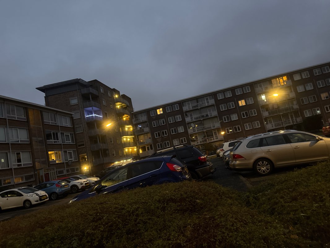 walking near me in Oosterwijkpark in autumn