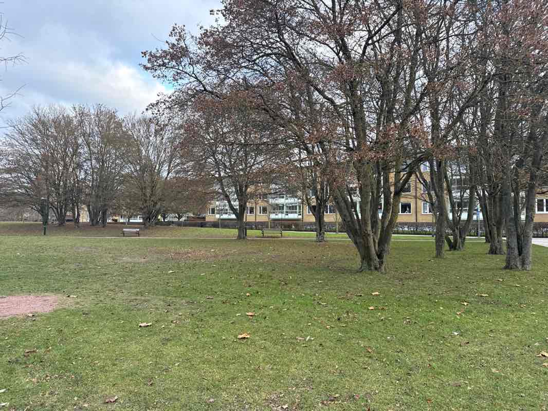 walking near me in Östra Stadionparken in winter