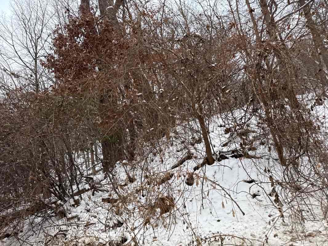 walking near me in Highland Park in winter