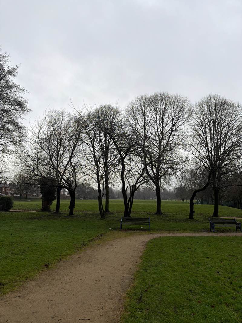 walking near me in King George V Playing Fields in winter