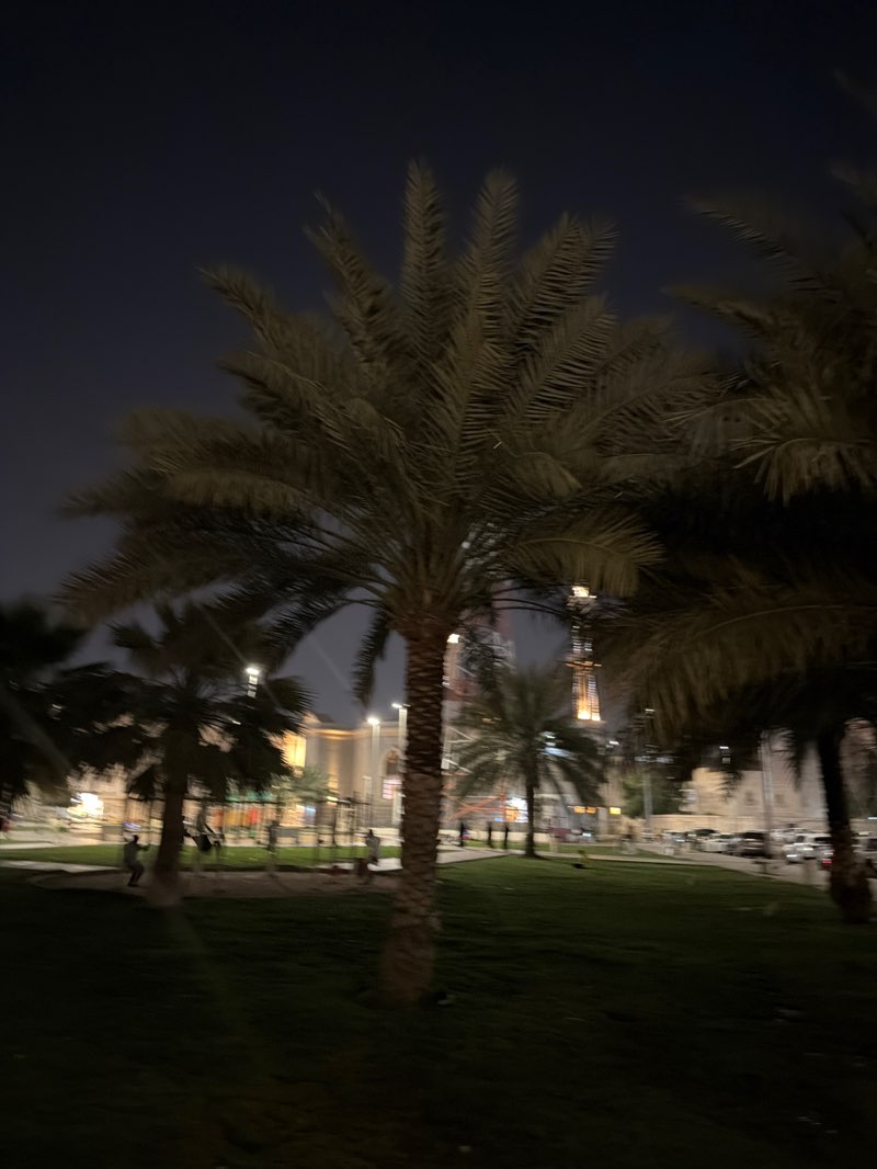 walking near me in Ahmed Bin Hanbal Park in winter