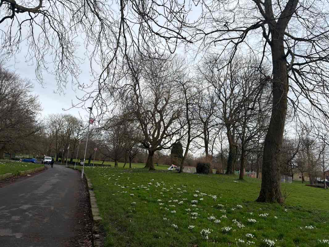 walking near me in Brookdale Park in winter