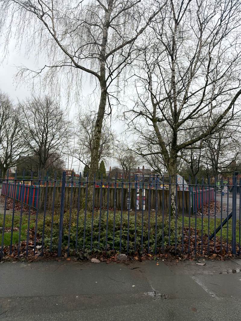 walking near me in Victoria Park in winter