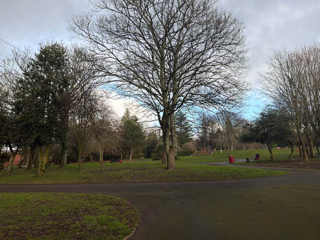 walking near me in Dukinfield Park in winter