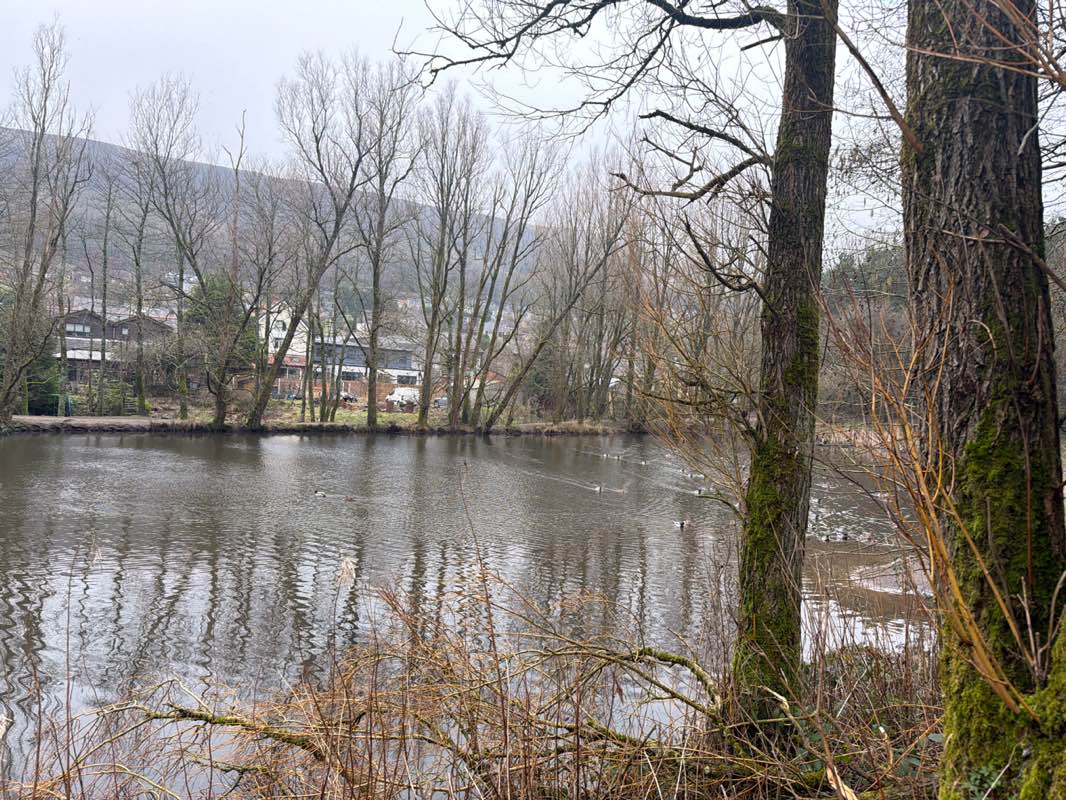 walking near me in Diggle Park in winter