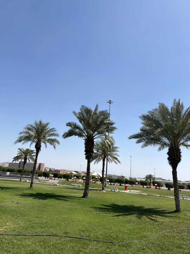 walking near me in Hussainiya Park in spring