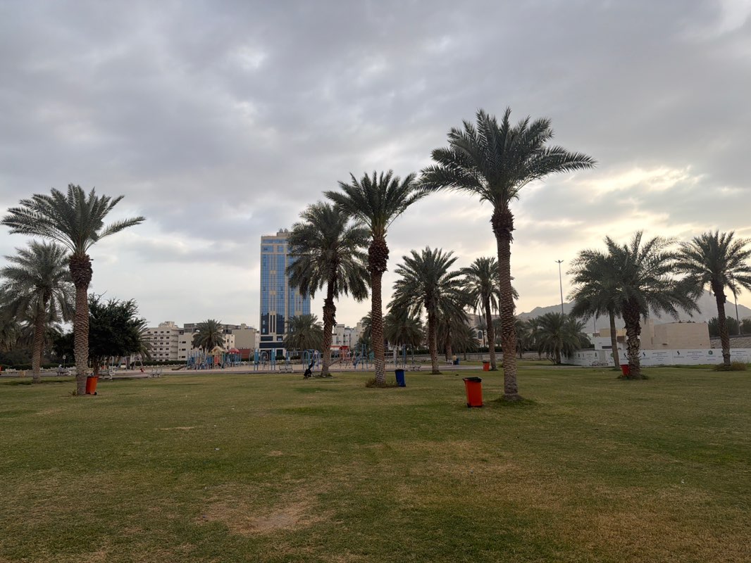 walking near me in Al Azezeiah Park in spring