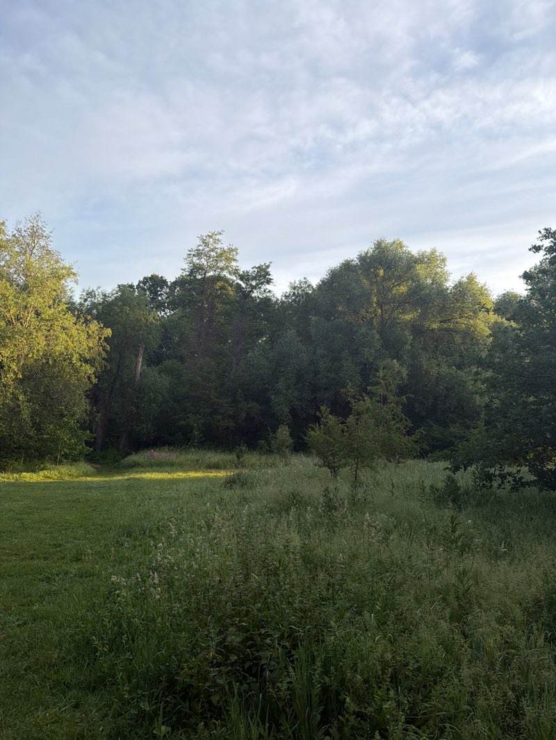 walking near me in Bromham Mill Park in summer