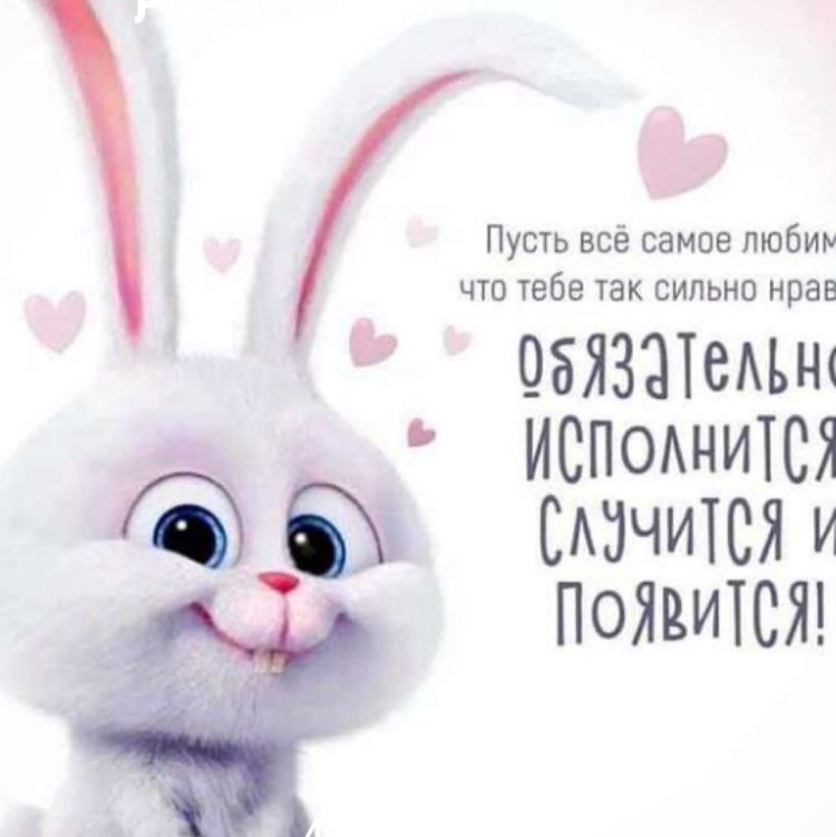 Александр <Z> post 1