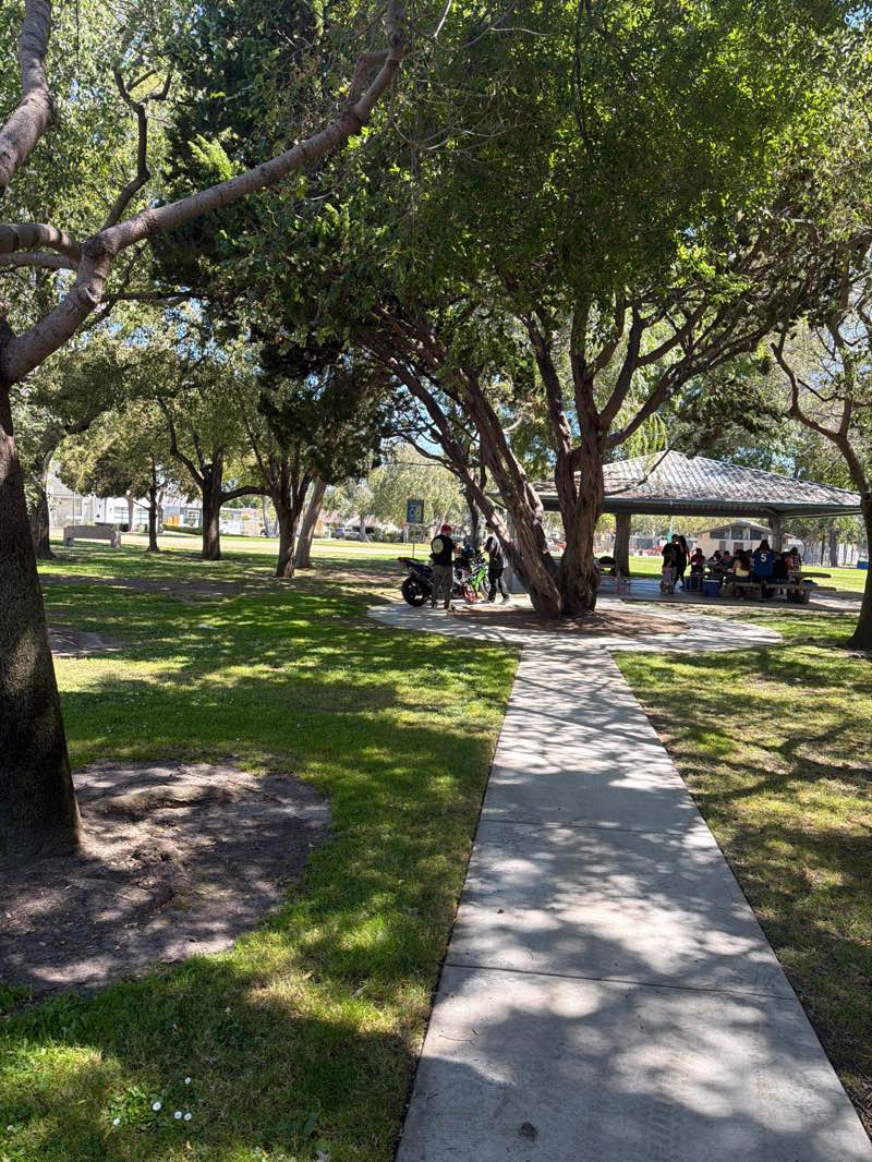 walking near me in Lindberg Park in summer