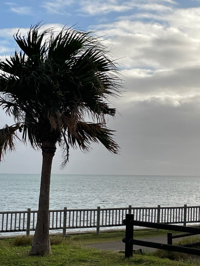 walking near me in Southern Gate Park in winter