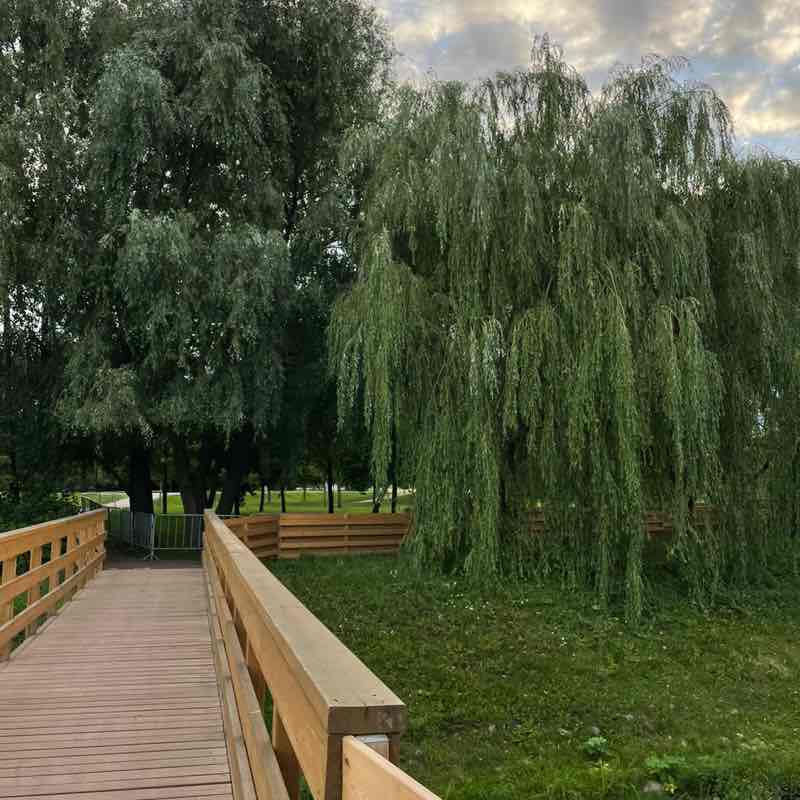 Мария Шатрова post 2