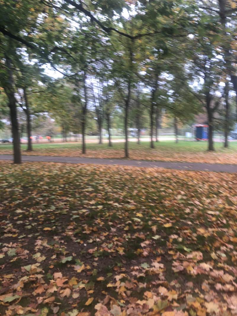 walking near me in Plan d'eau Saint-Symphorien in winter
