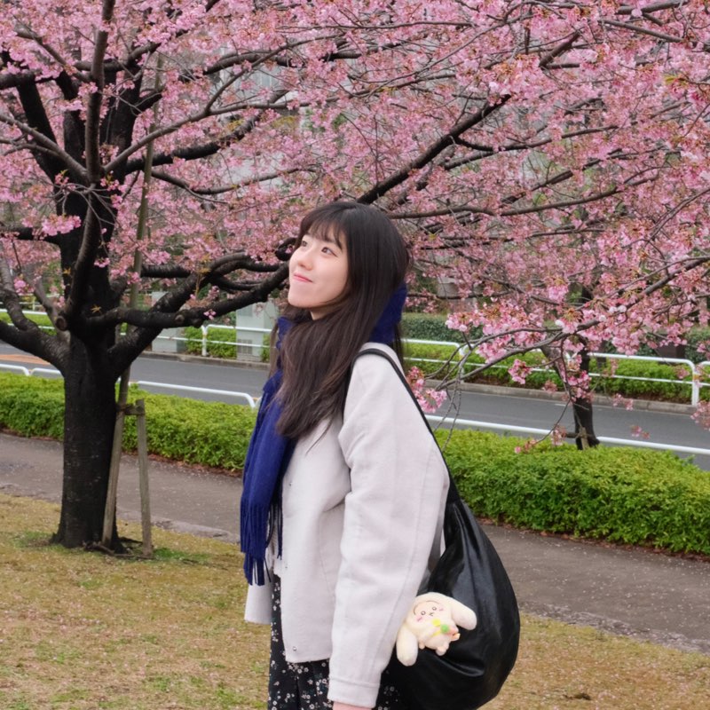 曹瀞文