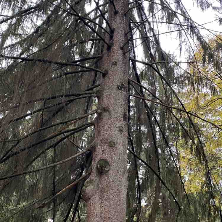 Магомед-Камиль post 2