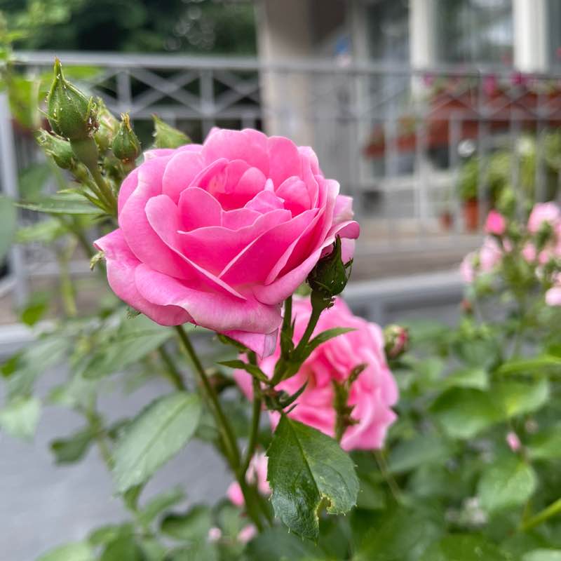 Mariya Osmolovskaya👣 post 2