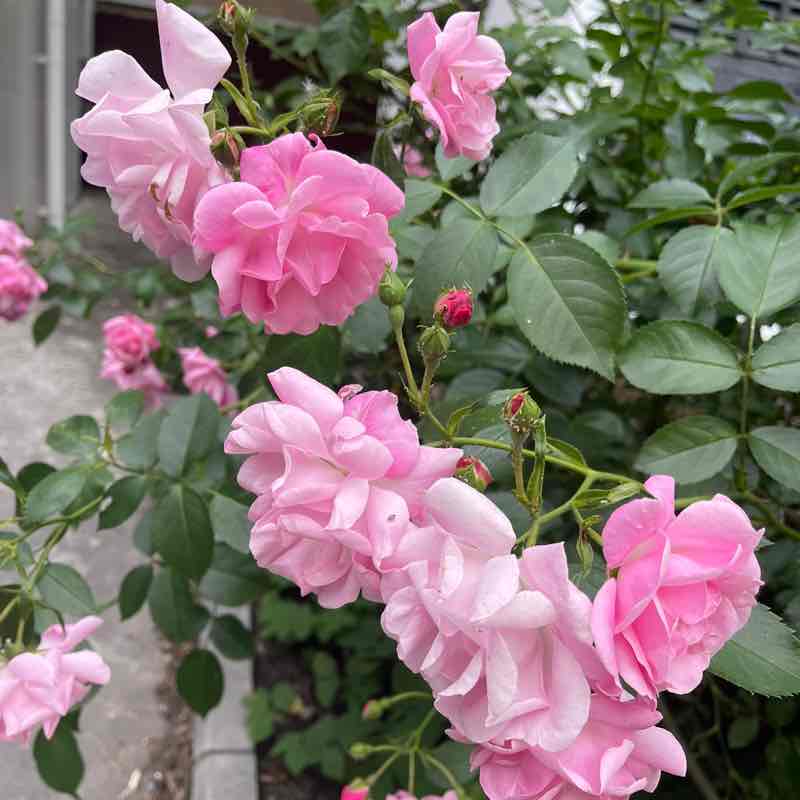 Mariya Osmolovskaya👣 post 3