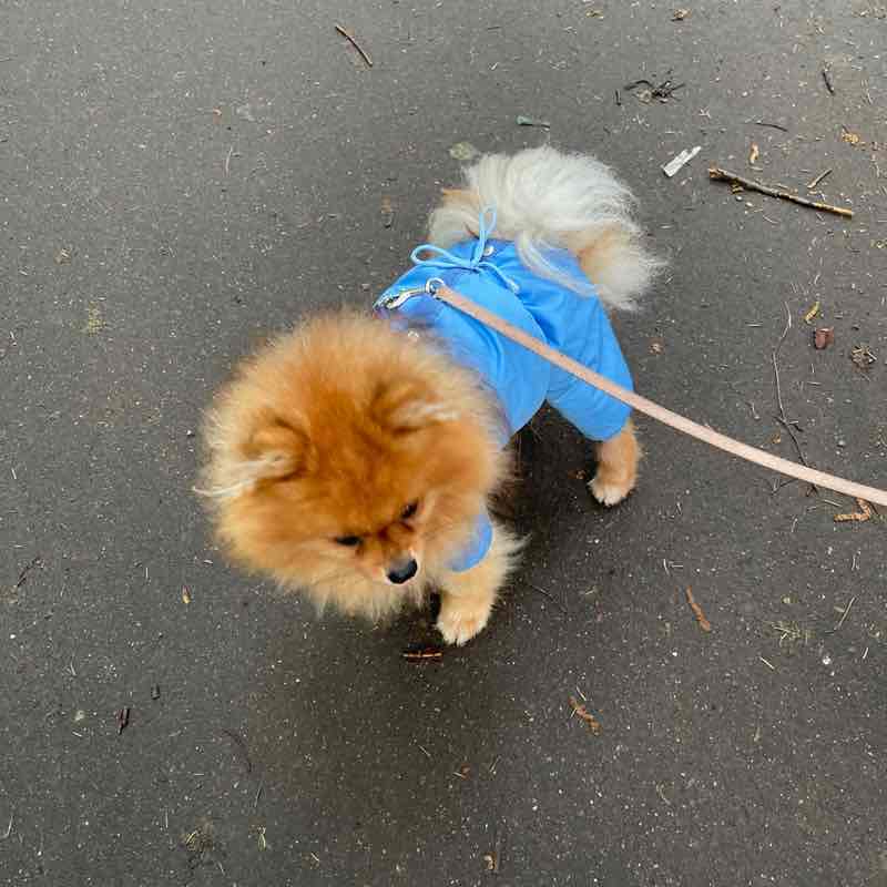 Mariya Osmolovskaya👣 post 2