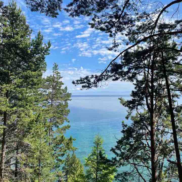 Сыркина Елена post 3