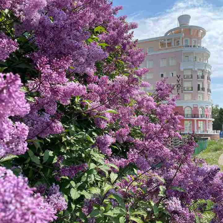 Сыркина Елена post 2