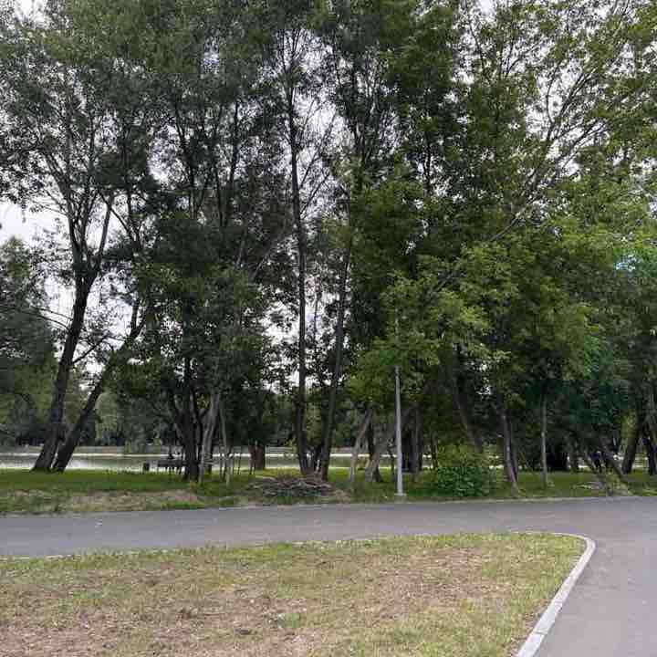 Всеволод Шустов post 1