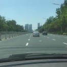刘磊