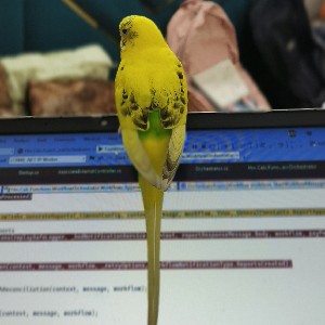 Manendra Singh profile