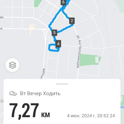 ШАГОФОН Лапов Анатолий post image