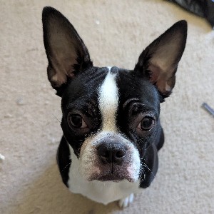 🌷SonriMariNoa💞🌷