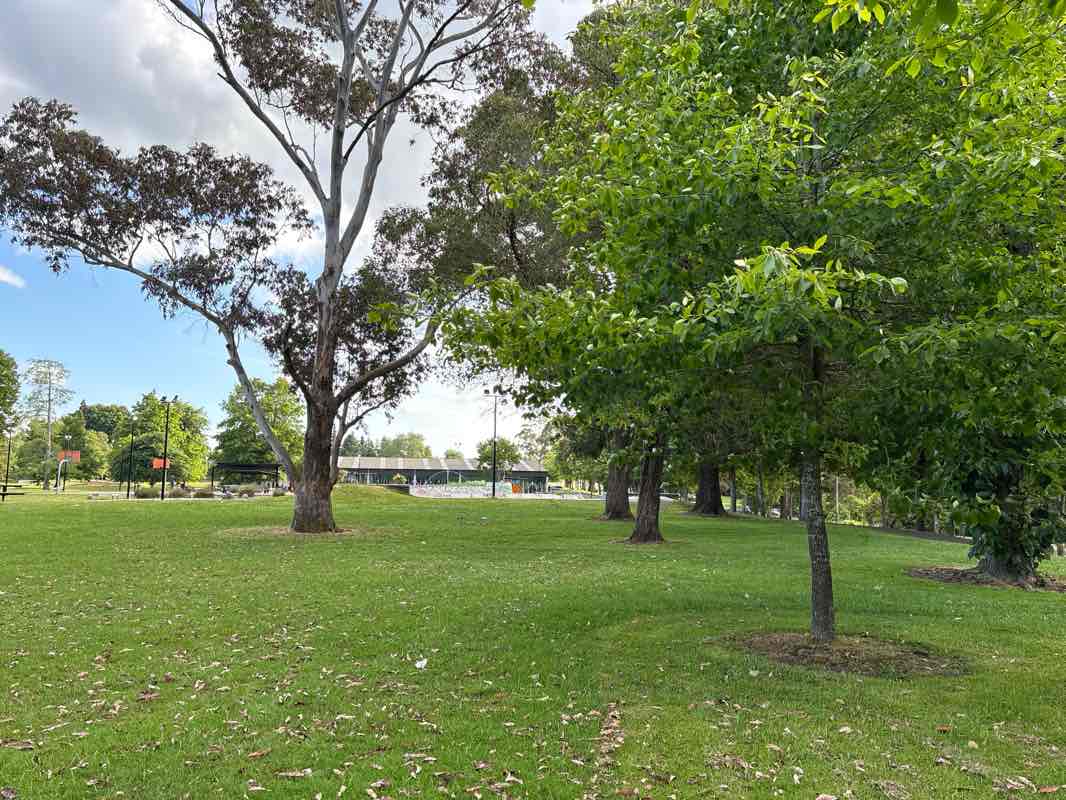 walking near me in Memorial Park in spring