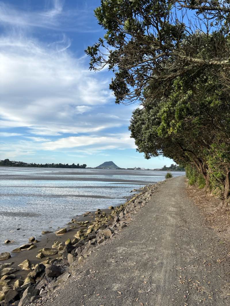 walking near me in Jordan Street Reserve in spring