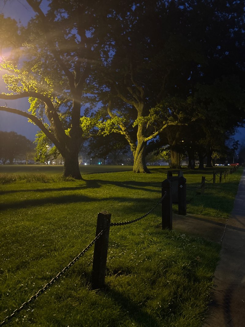 walking near me in Steele Park in spring