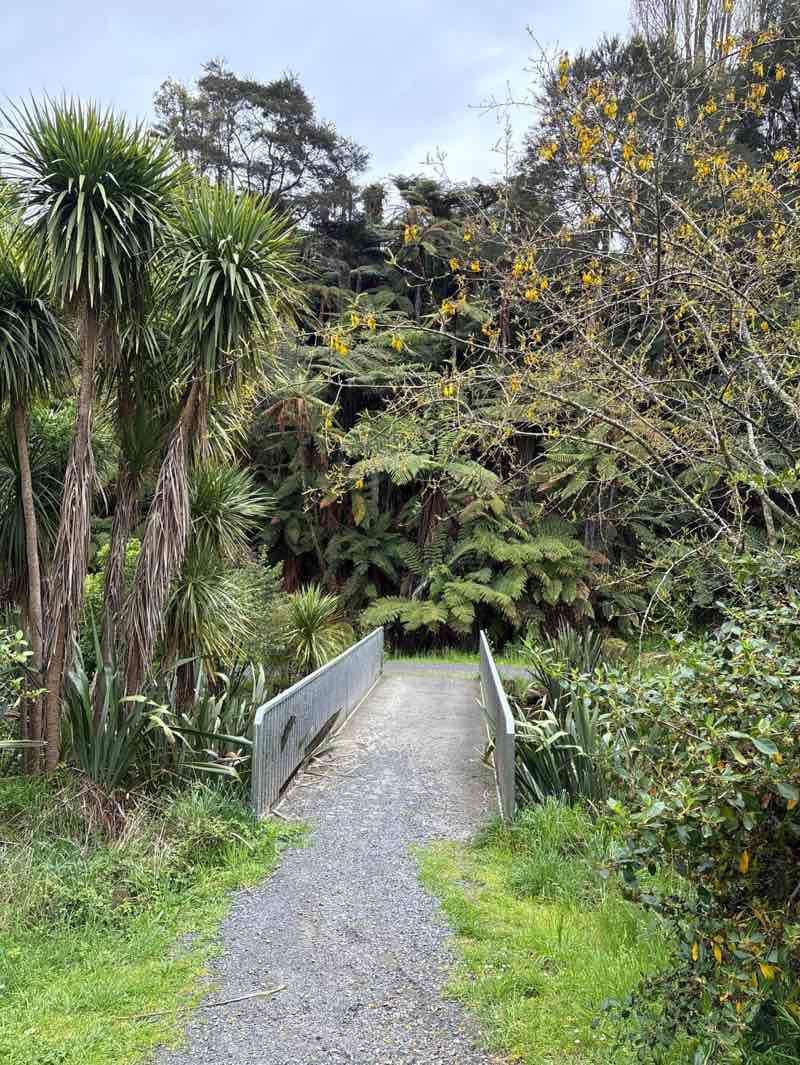 walking near me in Sandford Park in spring