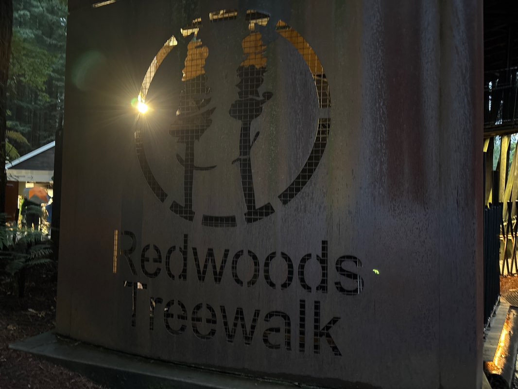 walking near me in Scion Tree Research Park in spring