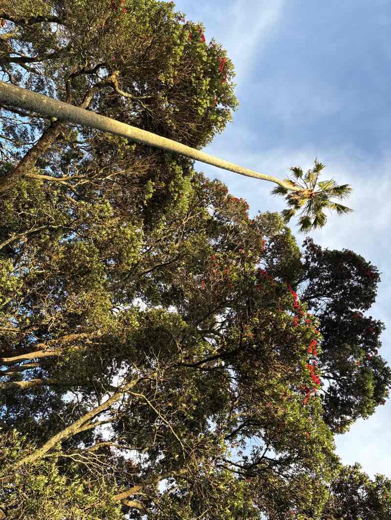 walking near me in Robbins Park in spring