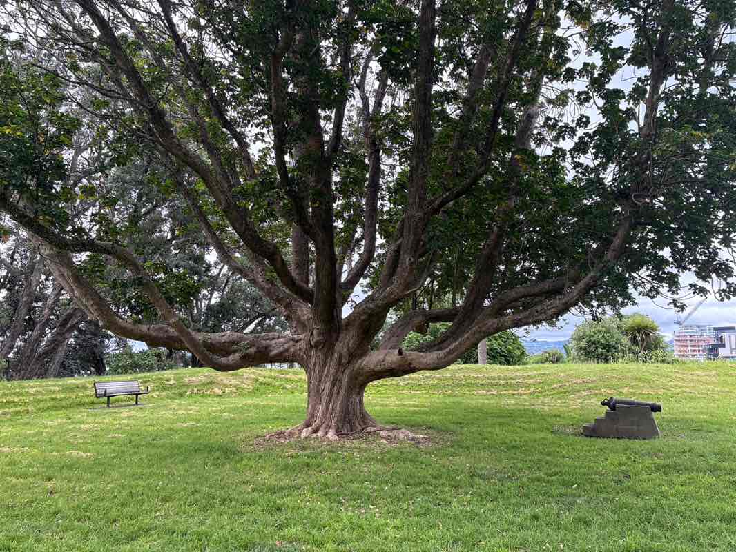 walking near me in Monmouth Redoubt in summer