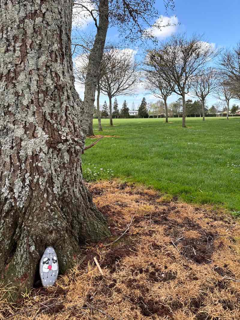 walking near me in Jansen Park in spring