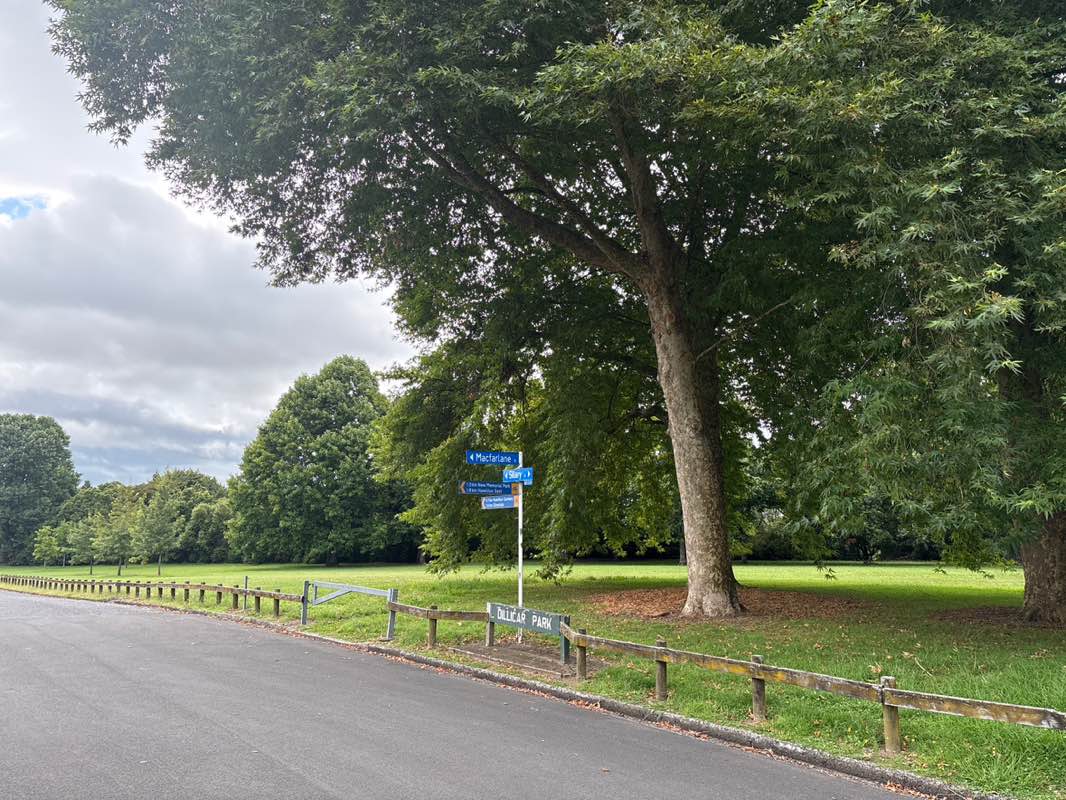 walking near me in Dillicar Park in summer