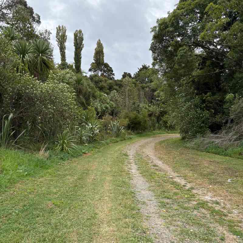 Stuart McAdam post 1