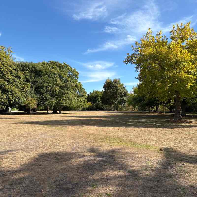 Stuart McAdam post 2