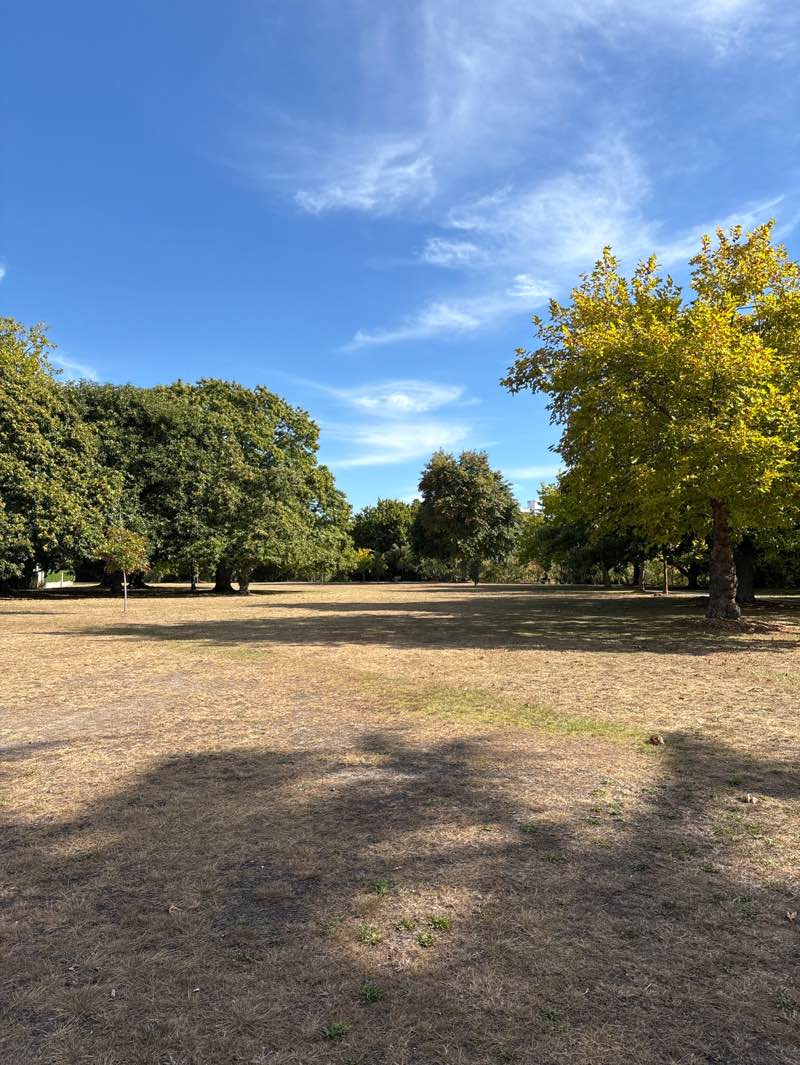 walking near me in Hayes Paddock in autumn