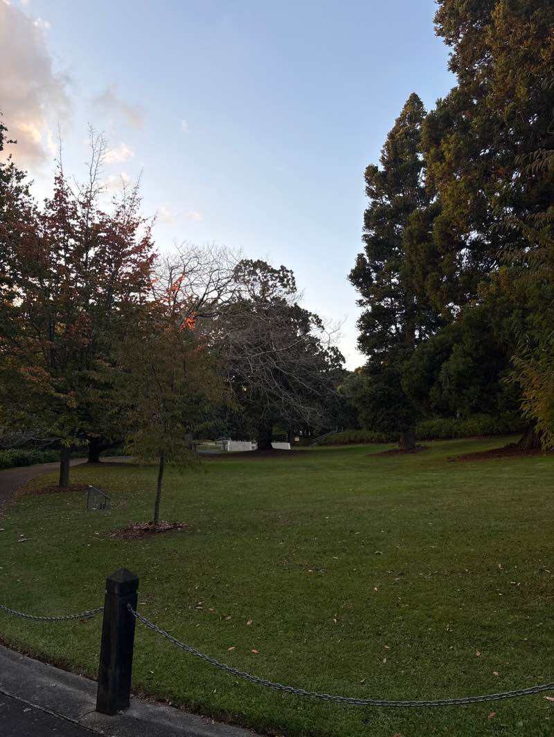walking near me in Memorial Park in autumn